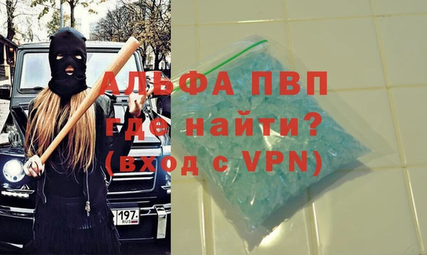 стаф Белокуриха