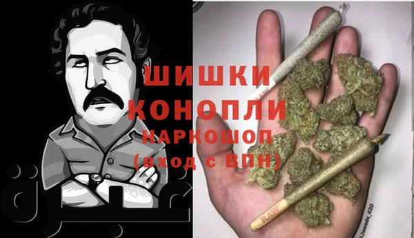 сатива Протвино
